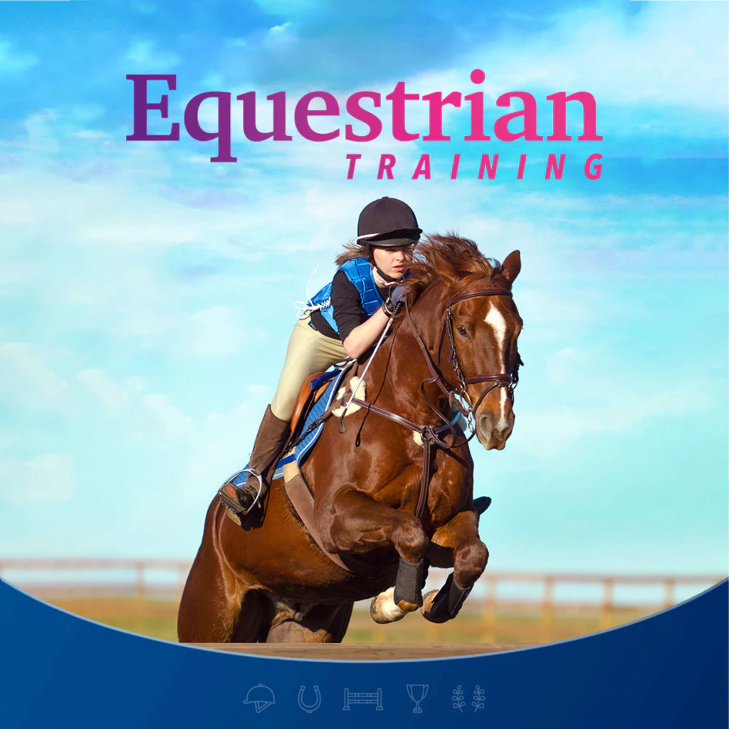 Equestrian Training Box Front